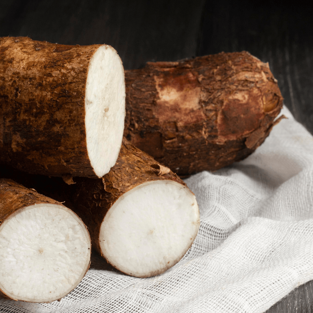 Cassava