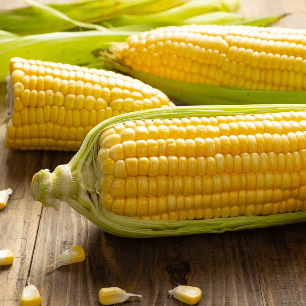 Corn
