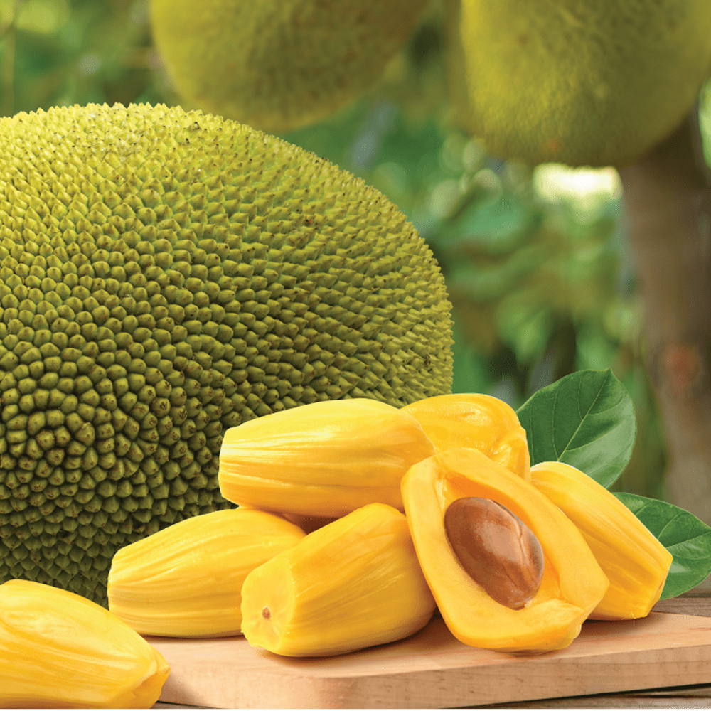 Jackfruit