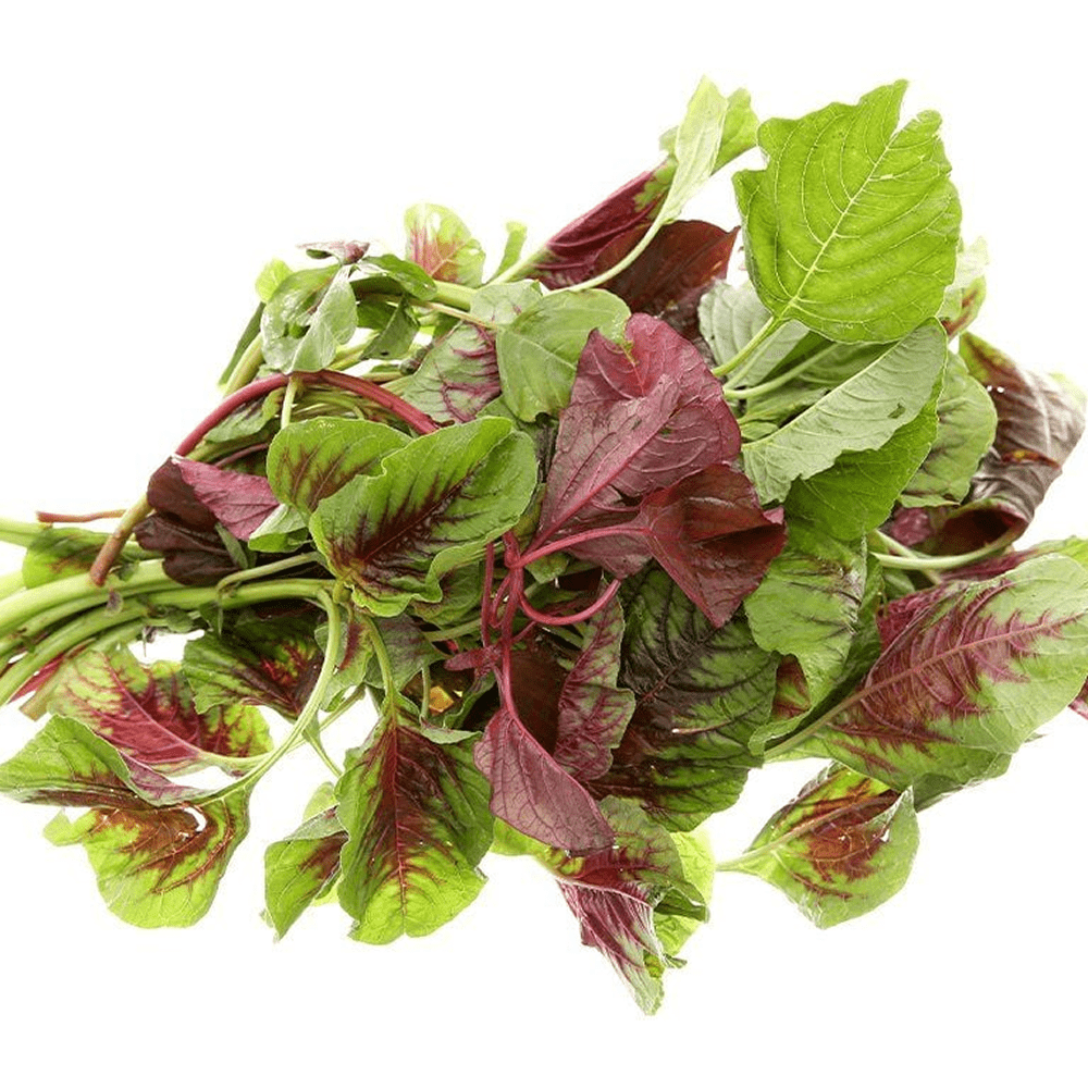 Frozen Amaranth Leaves (Biteku)