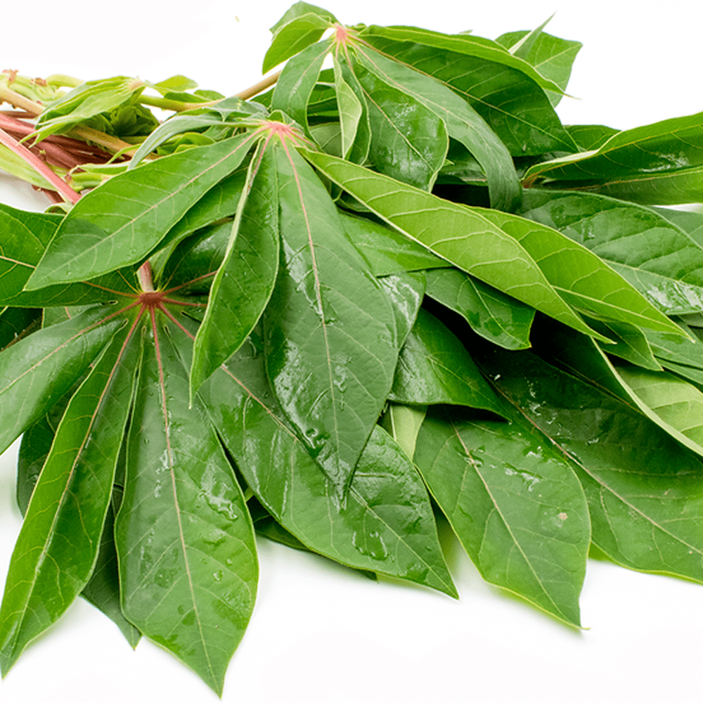 Frozen Cassava Leaves
