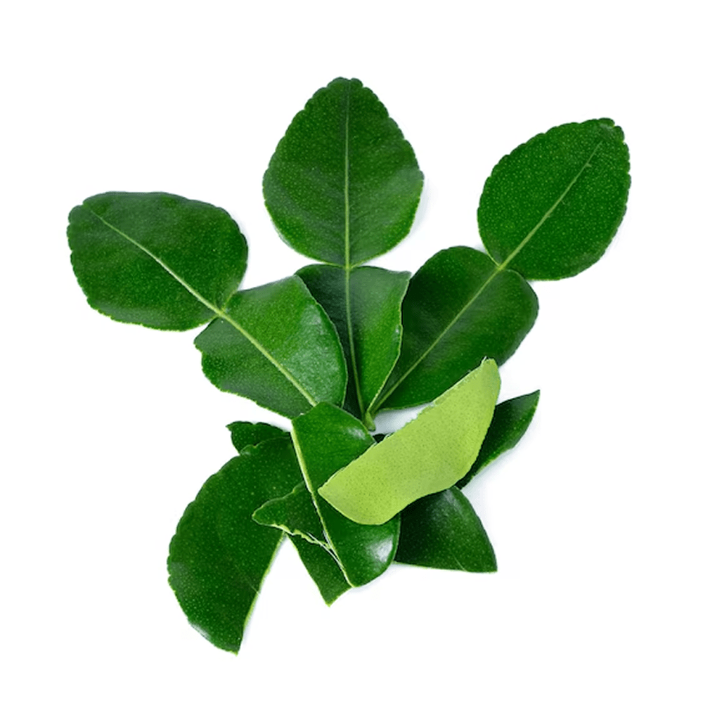 Frozen Kaffir Lime Leaves